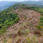 18 ha rừng tự nhiên bị phá trụi
